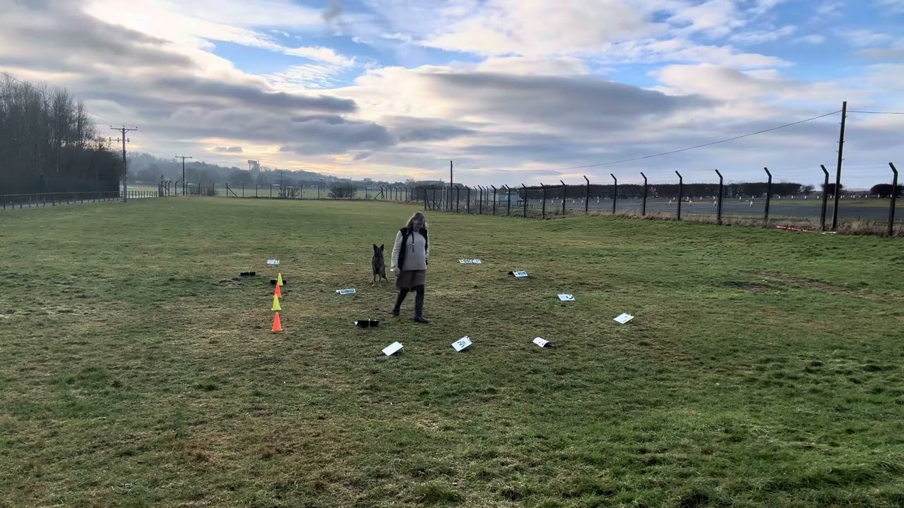 Lyra L5 for Sally Jan 26