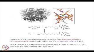 Mod-21 Lec- 21 Nickel Enzymes - V