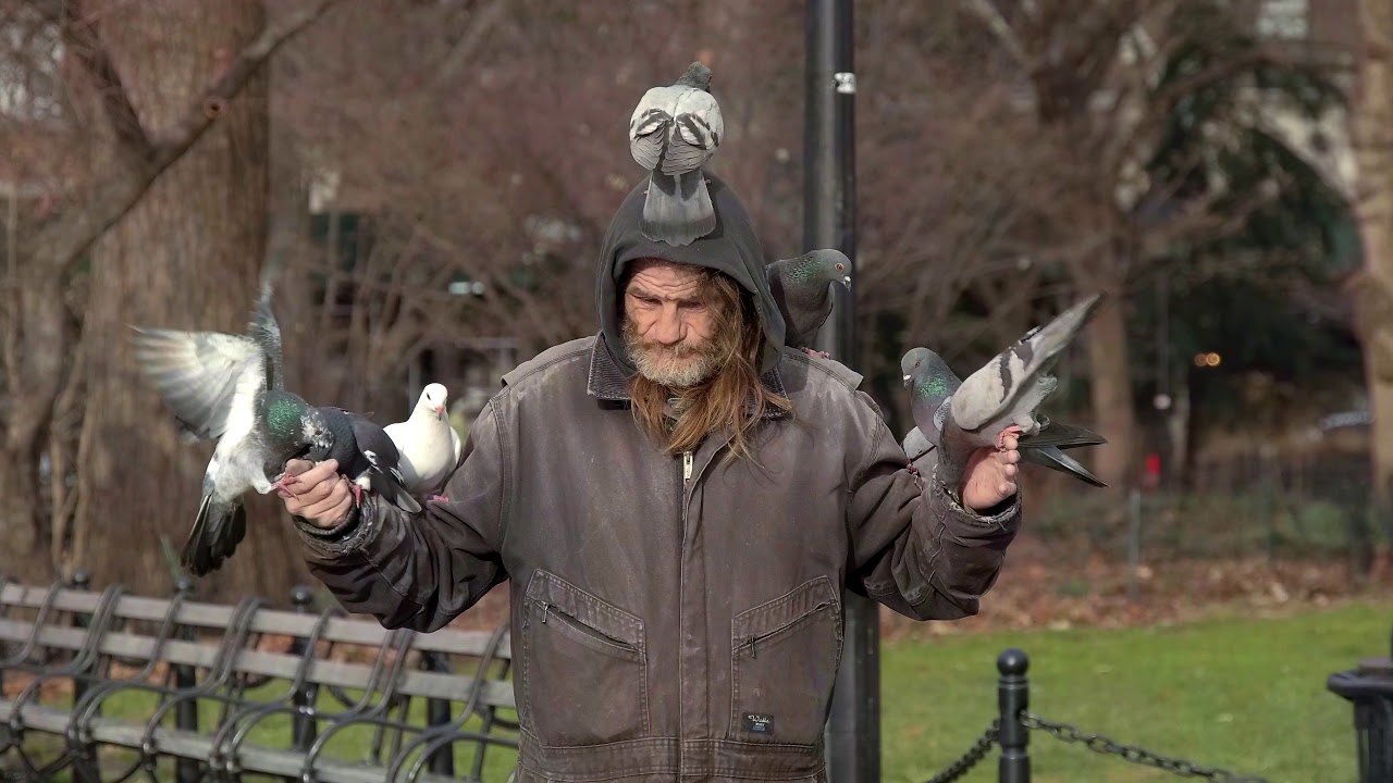 Z Camera E1 Graded Zlog DCI 4K Video: Washington Square Park Winter Morning