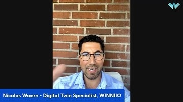 Digital Twins and the Metaverse(s)