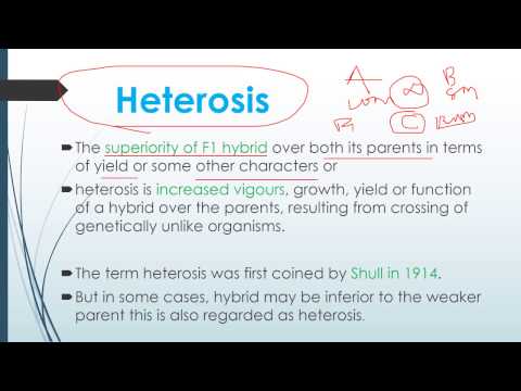 Heterosis and Theories of Heterosis