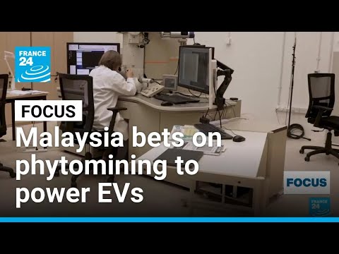 Shifting Gears Malaysia Bets On Indigenous Plant For EV Future FRANCE 24 English