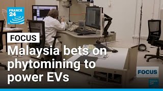 Shifting gears: Malaysia bets on indigenous plant for EV future • FRANCE 24 English