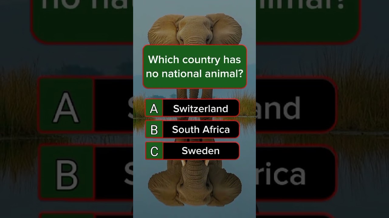 99% провалов — сможете ли вы решить самые сложные загадки