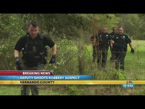 Hernando County Arrests Mugshots