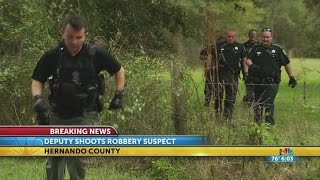 Suspect shot, killed by Hernando deputy
