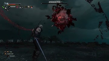 W3EER Dettlaff fight