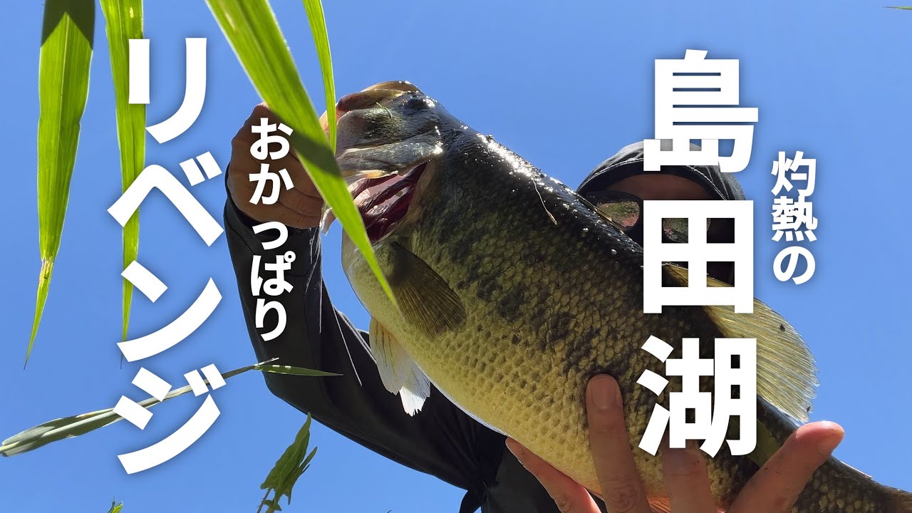 【釣り】島田湖リベンジ！相模湖周辺でおかっぱり第二弾【バス釣り】