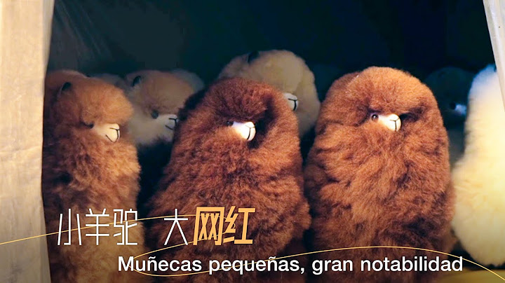 Documental de CGTN "De la Gran Muralla a Machu Picchu" | Muñecas pequeñas, gran notabilidad