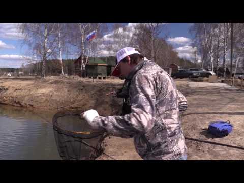 Ловля форели. Блесны для мутной воды