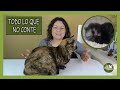 LA HISTORIA  DE MI GATA VANIA | TODO LO QUE NUNCA CONTÉ DE CUANDO ERA BEBÉ | #STORYTIME