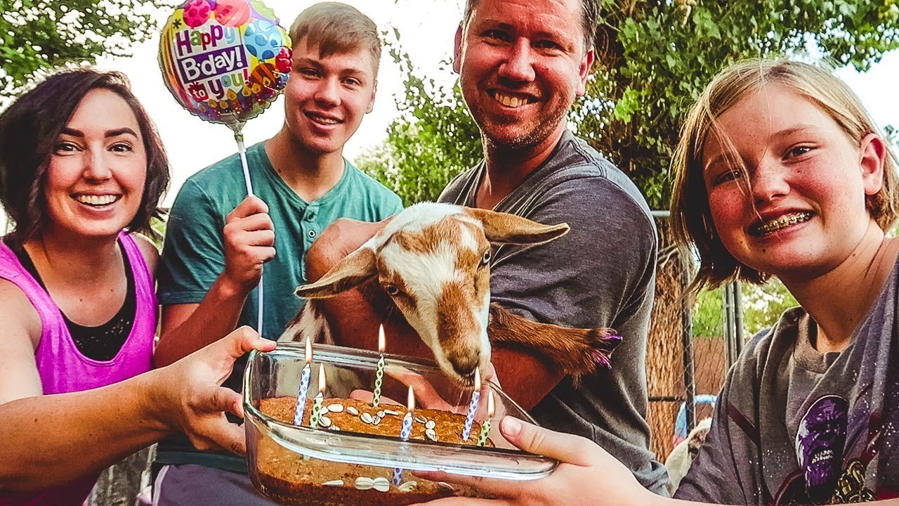 Happy Birthday Willow Baby Goat Pamper Day Youtube