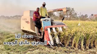 حصاد الارز المصري باحدث الميكنه الزراعيه موسم 2023