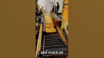 The fried noodle production line.#Good tools#Easy to use#High efficiency#Good machinery