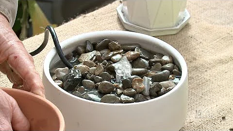 Make Your Own Indoor Water Feature