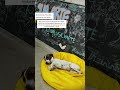 De dia de um jeito, de noite de outro... Flocão, o furacão! #pets #viralata #universidadepublica