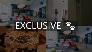 hotel hampton by hilton montevideo  pet friendly    uruguay