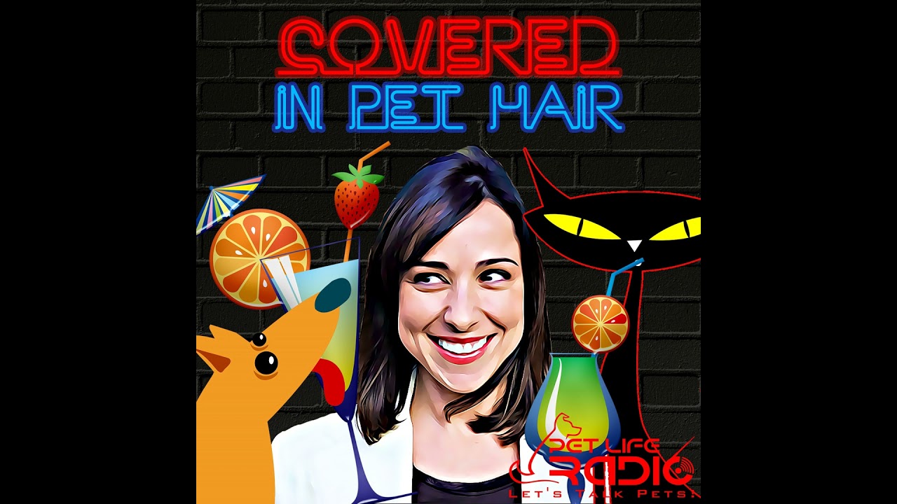 Covered In Pet Hair - Episode 78 Dog Sports & Diversity