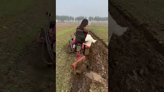 Mini Tracteur À Loeuvre