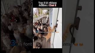 😱 Chat Incontrôlable 😂 3 Moments Ia Wtf