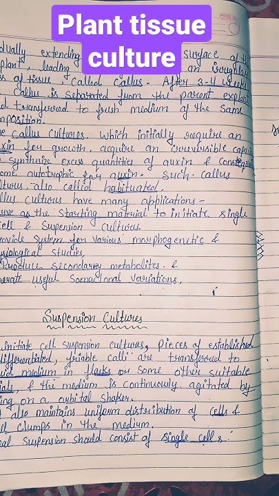 tissue-culture-plant-tissue-culture-note-for-msc-botany-biology