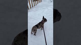 28 12 2024 - Bill Kaulitz Instagram Stories