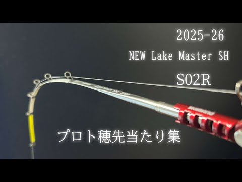 ワカサギ釣り】Shimano NEW ワカサギ穂先レイクマスターSHS02R