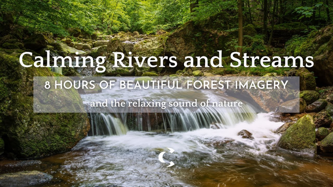 Calming Rivers and Streams - 8 Hours of Beautiful Forest Imagery, and ...