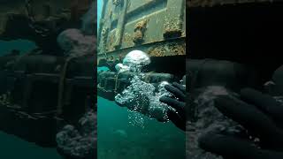 Underwater Secrets You Need to See #underwater #underwaterworld #deepsea #ocean