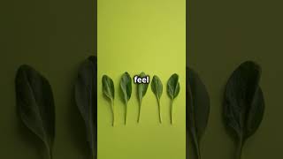 Spinach The Superfood You Need