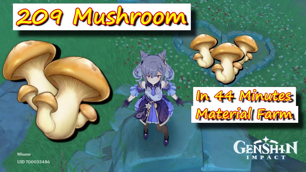 209 Mushroom in 44 Minuste Material Farm - Mondstadt Region | Genshin