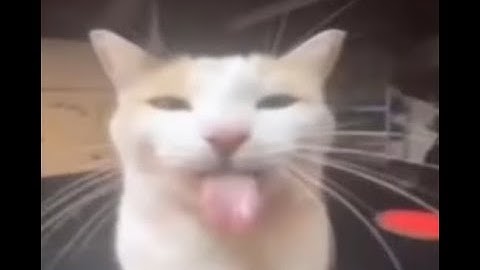 Beating a random ULTRAKILL level everyday until Fraud releases - Day 319