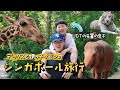 【DEXの子守り奮闘記】特殊部隊の息子は体力が有り余っている🏃‍♂️💨