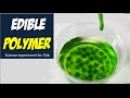 Edible Polymer - Worm Slime without Borax for Kids