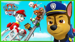 Paw Patrol – Canale Ufficiale - YouTube