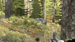Arma - Tree