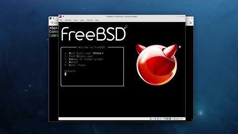 Building a custom kernel on FreeBSD