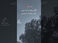 🖤 چاندِ محرم کا دردناک پیغام | کربلا کی یاد تازہ ہوگئی 😢