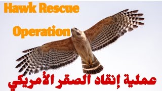 Hawkrescue
