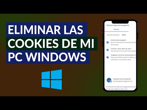 ¿Cómo Eliminar las Cookies de mi PC Windows y Cuál es su Función?