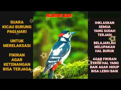 Relaksasi Mendengarkan Kicau Burung Pagi Hari untuk Meriset Hati Dan Fikiran Relaksasi Mendengarkan Kicau Burung Pagi Hari untuk Meriset Hati Dan Fikiran