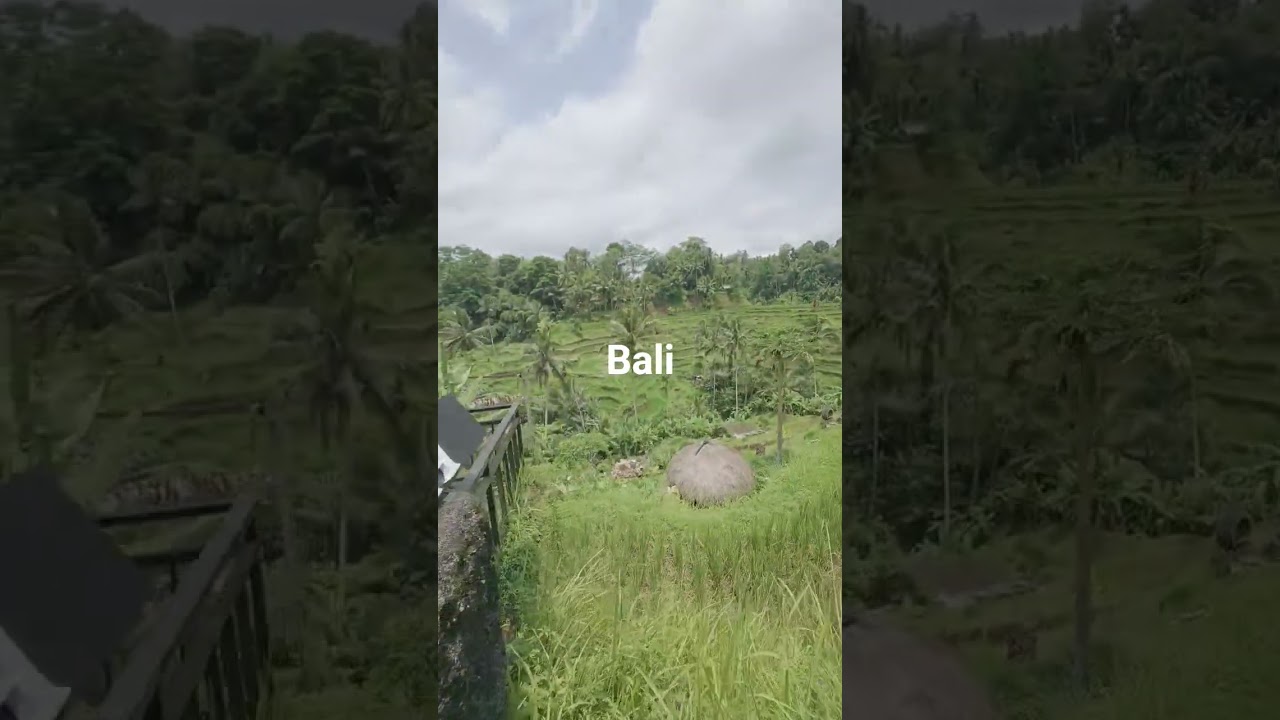 Rice terrace Bali Dji osmo nano 