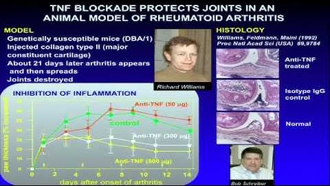 Dr Ravinder Maini: Bench to Bedside Part 3 of 7