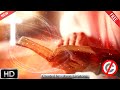 105, Free Christian Loop Background Video HD No Copyright / Bible \ pray...