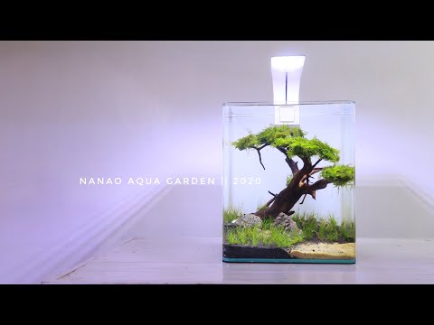 amazing-mini-bonsai-in-nano-aquascape---aquascape-mini-tema-bonsai