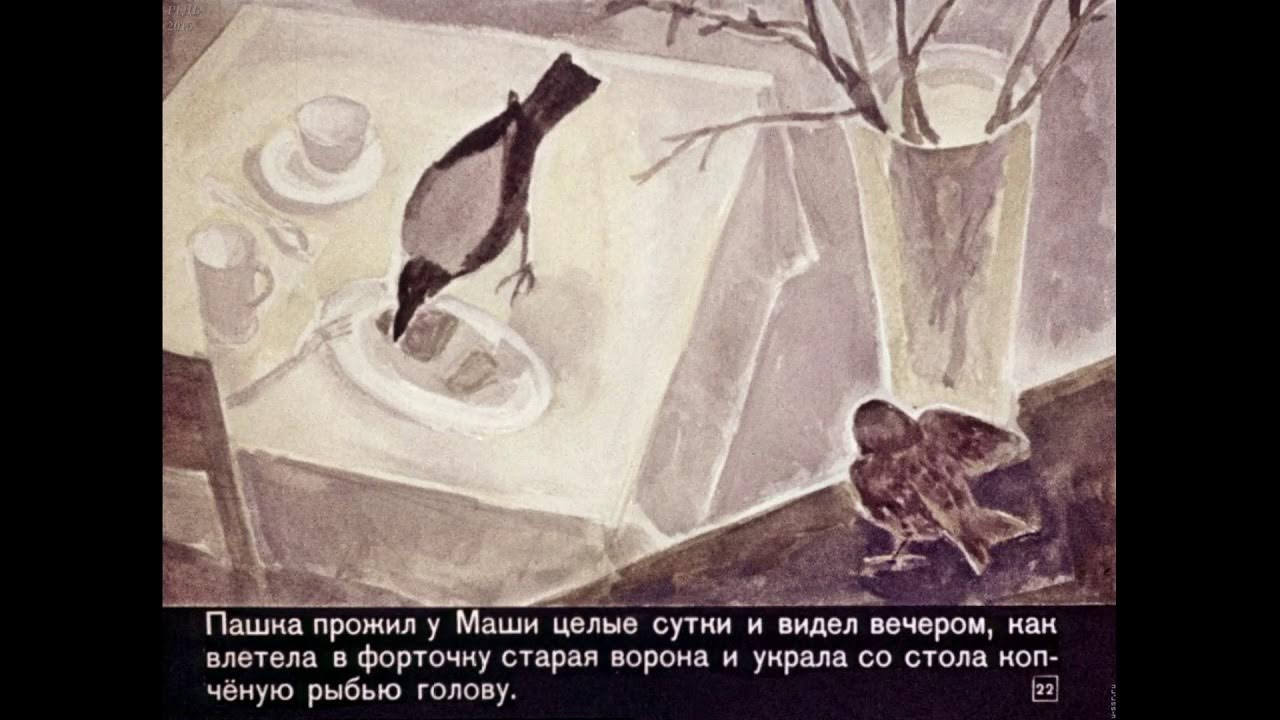 Фото маши из растрепанного воробья рисунок Краткое содержание Растрепанный воробей для читательского дневника - YouTube