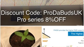 ViparSpectra P4000 Pro Series LED Grow Light - Episode 1 —New Genetics 🌱🔥