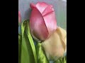 #91    Tulip flower تعرفي علي طريقة عمل زهرة التوليب  و اسرار سهولتها وتميزها