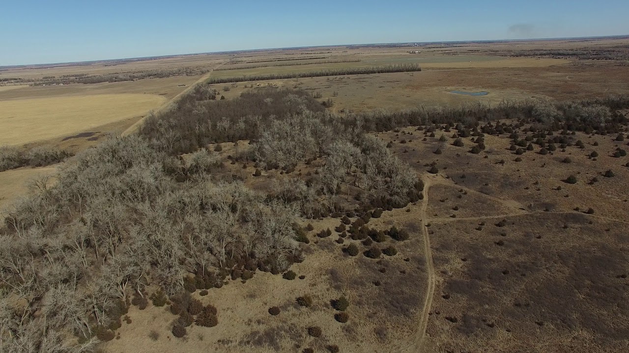 160+/ Acres of Hunting and Pasture For Sale in Stafford County Ks! YouTube