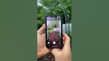 iPhones have built in plant ID?!